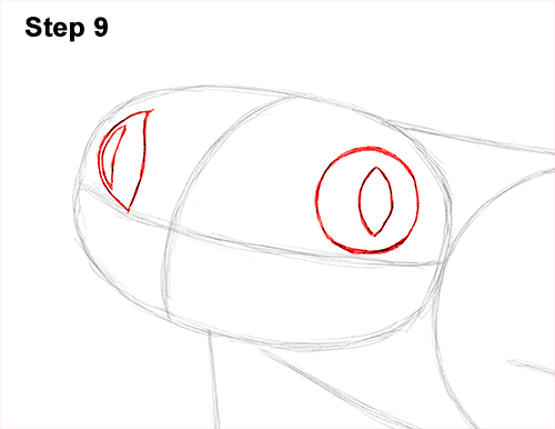 How to Draw a Red-Eyed Tree Frog 9