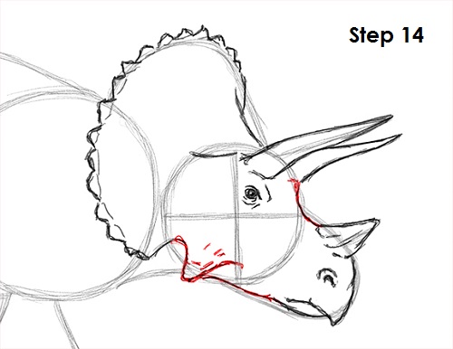 Draw Triceratops 14