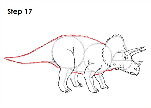 Triceratops Drawing 17 Draw Triceratops 17