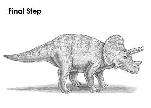 Triceratops Drawing Final Draw Triceratops Final