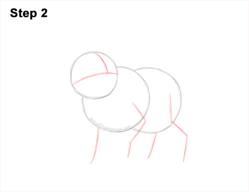 How to Draw a Triceratops 2