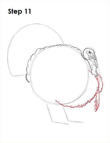 Draw a Turkey 11