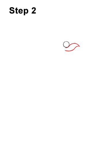 How to Draw a Cartoon Turkey 2 How to Draw a Thanksgiving Funny Turkey Cartoon 2