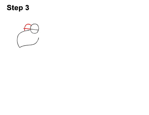 How to Draw Funny Cartoon Turtle Tortoise 3