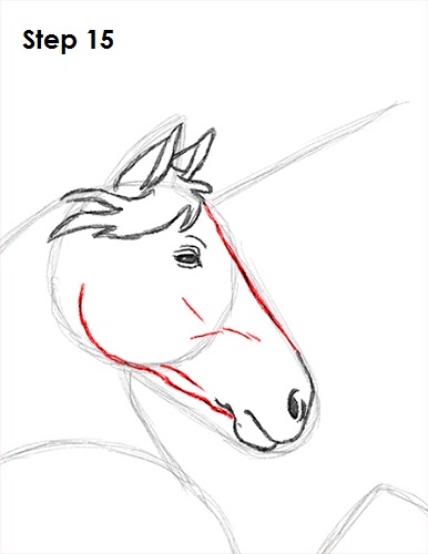 Unicorn Drawing 15 Draw Unicorn 15