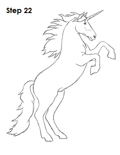Unicorn Drawing 22 Draw Unicorn 22
