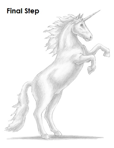 Unicorn Drawing Draw a Unicorn