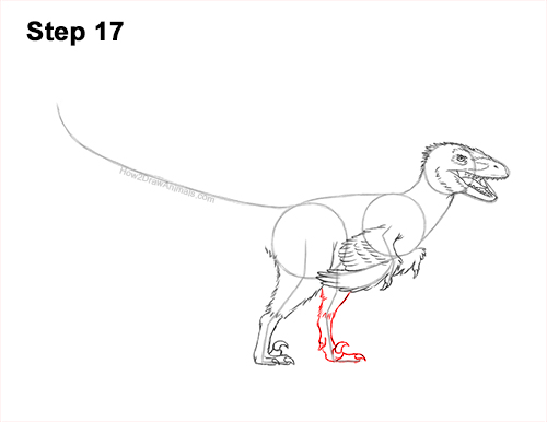 Draw a Real Velociraptor with Feathers 17 How to Draw Accurate Feathered Velociraptor 17