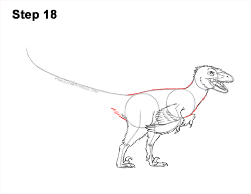 Draw a Real Velociraptor with Feathers 18 How to Draw Accurate Feathered Velociraptor 18