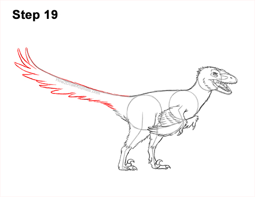 Draw a Real Velociraptor with Feathers 19 How to Draw Accurate Feathered Velociraptor 19