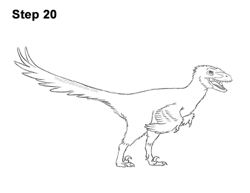 Draw a Real Velociraptor with Feathers 20 How to Draw Accurate Feathered Velociraptor 20