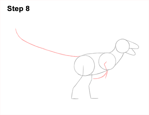How to Draw Accurate Feathered Velociraptor 8
