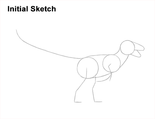 How to Draw Accurate Feathered Velociraptor Guides Lines