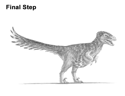 Draw a Real Velociraptor with Feathers How to Draw Accurate Feathered Velociraptor