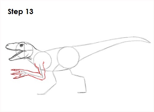Velociraptor Dinosaur Drawing 13 Draw a Velociraptor 13