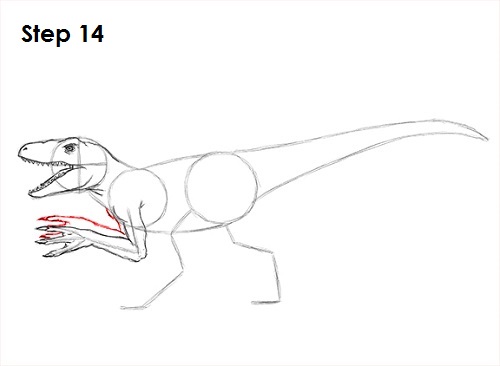 Velociraptor Dinosaur Drawing 14 Draw a Velociraptor 14