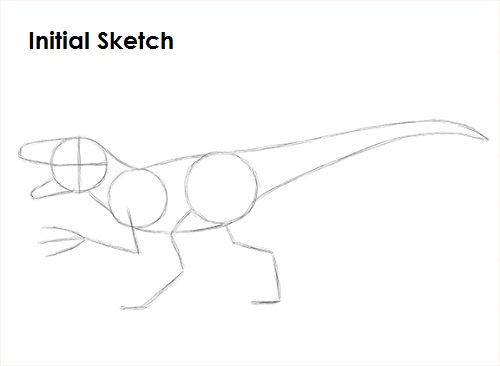 Draw a Velociraptor Sketch