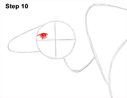 Vulture Bird Drawing 10 Draw Vulture Bird 10