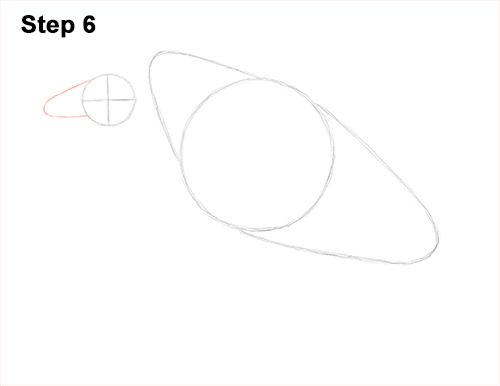 Draw Vulture Bird 6