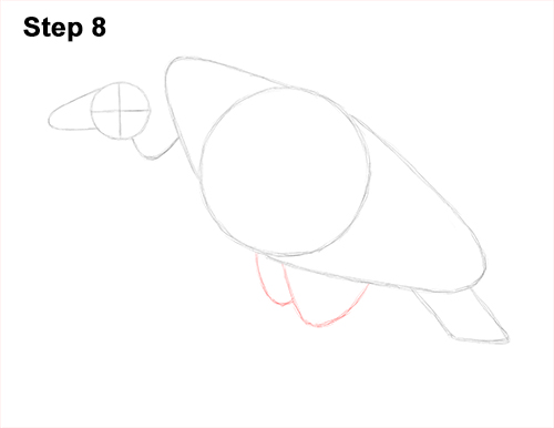 Draw Vulture Bird 8