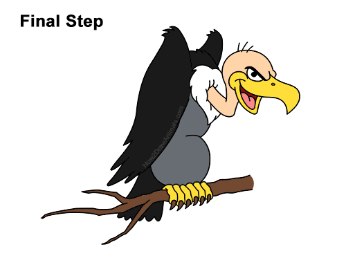 Draw a Cartoon Vulture How to Draw a Cool Cartoon Vulture Condor Buzzard