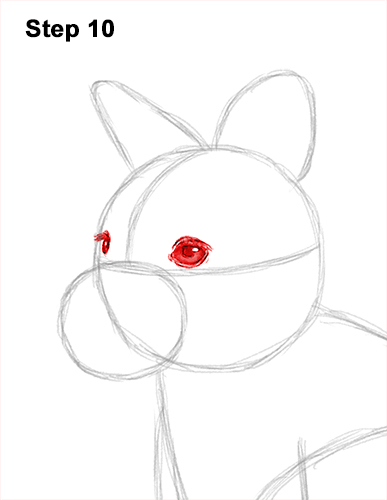 How to Draw a Red-Necked Wallaby 10