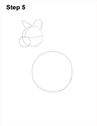 Draw a Wallaby 5 How to Draw a Red-Necked Wallaby 5