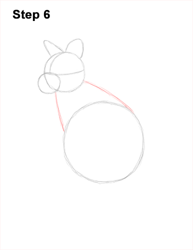 How to Draw a Red-Necked Wallaby 6