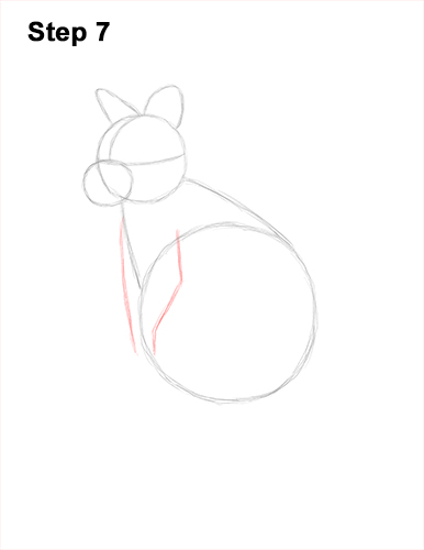 How to Draw a Red-Necked Wallaby 7