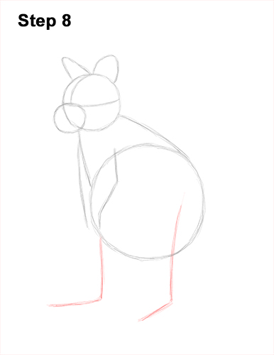 How to Draw a Red-Necked Wallaby 8