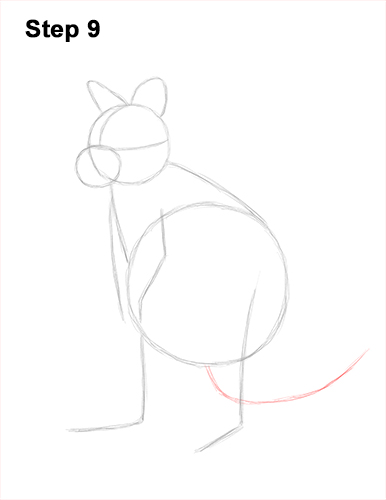 How to Draw a Red-Necked Wallaby 9