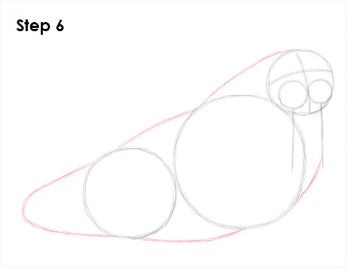 Walrus Drawing 6 Draw Walrus 6