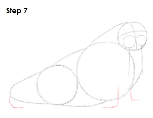Walrus Drawing 7 Draw Walrus 7