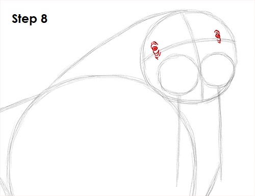 Walrus Drawing 8 Draw Walrus 8