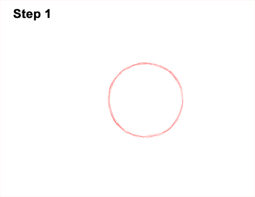 Draw a Warthog 1 How to Draw a Common Warthog Pig 1