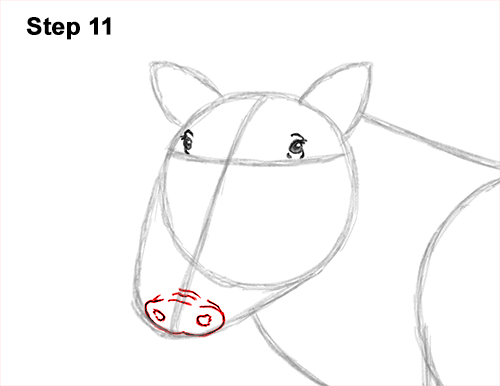 How to Draw a Common Warthog Pig 11