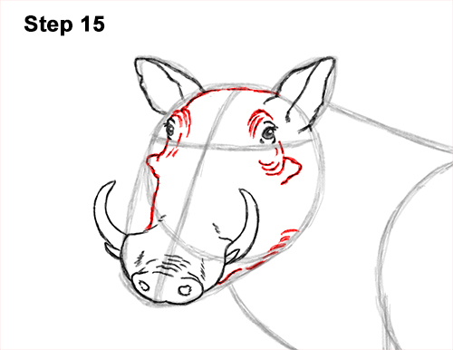 Draw a Warthog 15 How to Draw a Common Warthog Pig 15