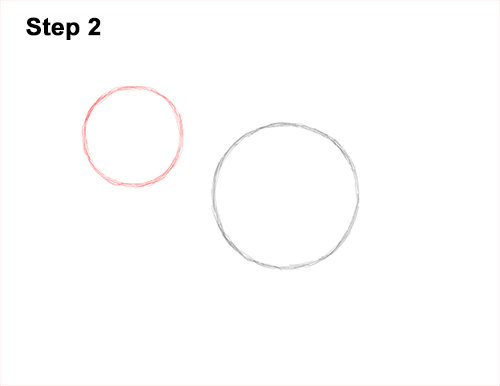 Draw a Warthog 2 How to Draw a Common Warthog Pig 2