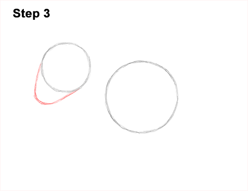 Draw a Warthog 3 How to Draw a Common Warthog Pig 3