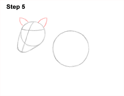 Draw a Warthog 5 How to Draw a Common Warthog Pig 5