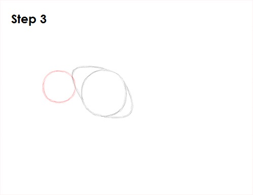 Wasp Insect Drawing 3 Draw Wasp 3