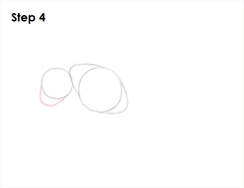 Wasp Insect Drawing 4 Draw Wasp 4