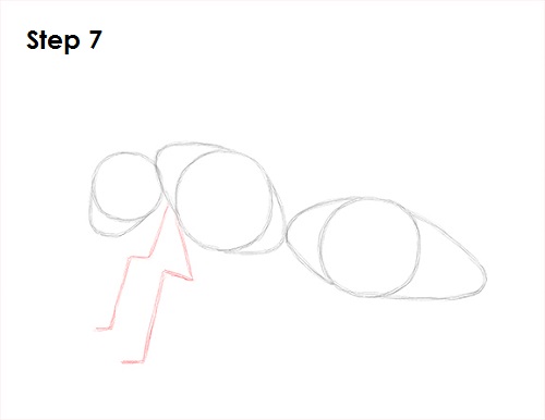 Wasp Insect Drawing 7 Draw Wasp 7