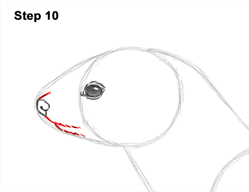 How to Draw a Common Least Weasel 10