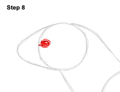 How to Draw a Common Least Weasel 8
