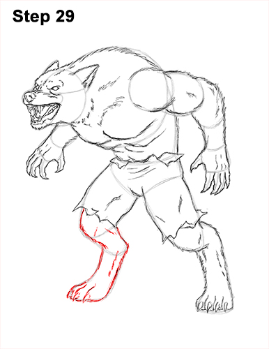 How to Draw Growling Snarling Scary Angry Werewolf 29