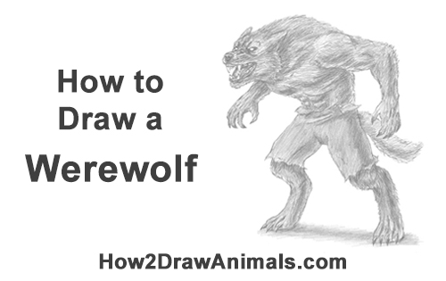 Draw Scary Werewolf How to Draw Growling Snarling Scary Angry Werewolf