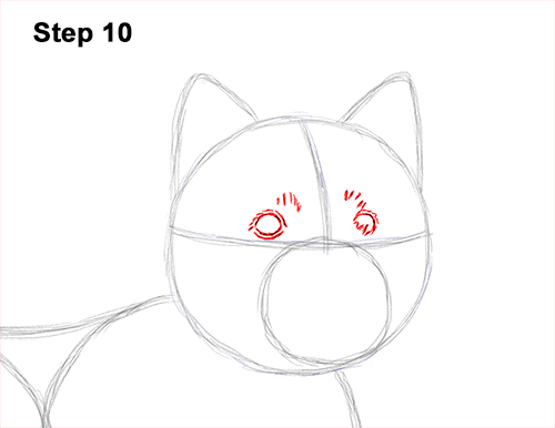 How to Draw a West Highland White Terrier Puppy Dog 10