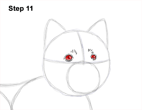 How to Draw a West Highland White Terrier Puppy Dog 11