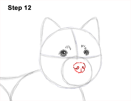 How to Draw a West Highland White Terrier Puppy Dog 12